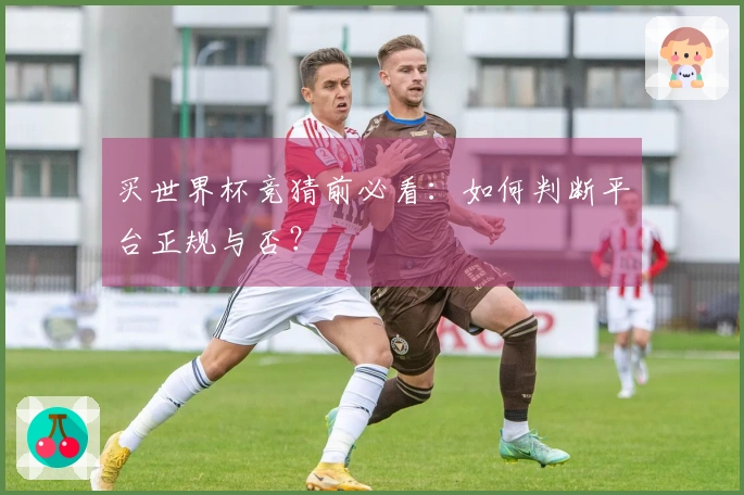 买世界杯竞猜前必看:如何判断平台正规与否?