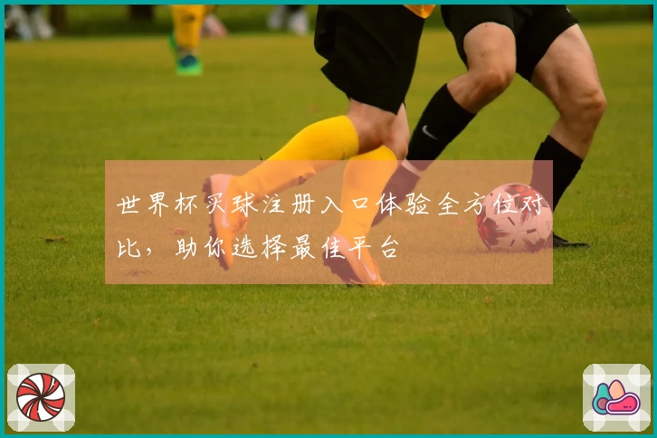 世界杯买球注册入口体验全方位对比，助你选择最佳平台