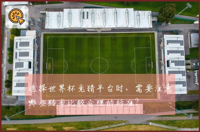 选择世界杯竞猜平台时，需要注意哪些赔率比较合理的标准？