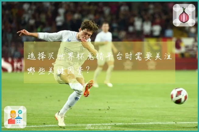 选择买世界杯竞猜平台时需要关注哪些关键因素？