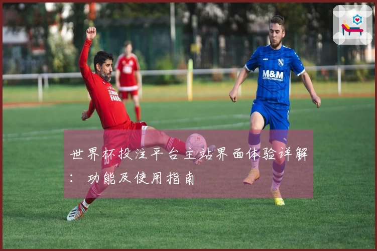 世界杯投注平台主站界面体验详解:功能及使用指南