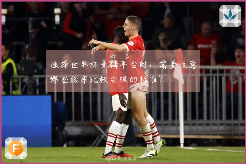 选择世界杯竞猜平台时，需要注意哪些赔率比较合理的标准？