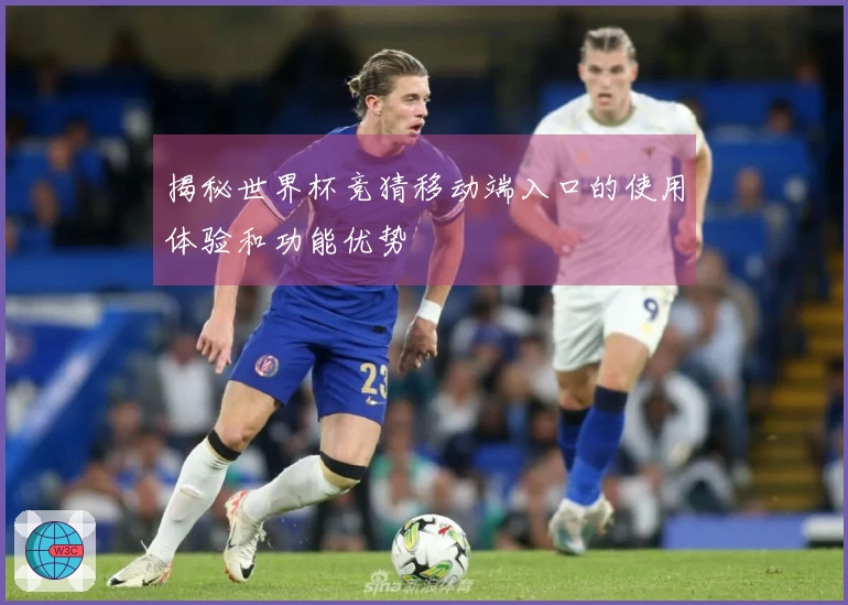 揭秘世界杯竞猜移动端入口的使用体验和功能优势