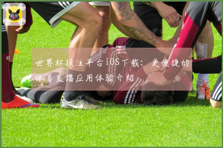 世界杯投注平台iOS下载：更便捷的体育直播应用体验介绍