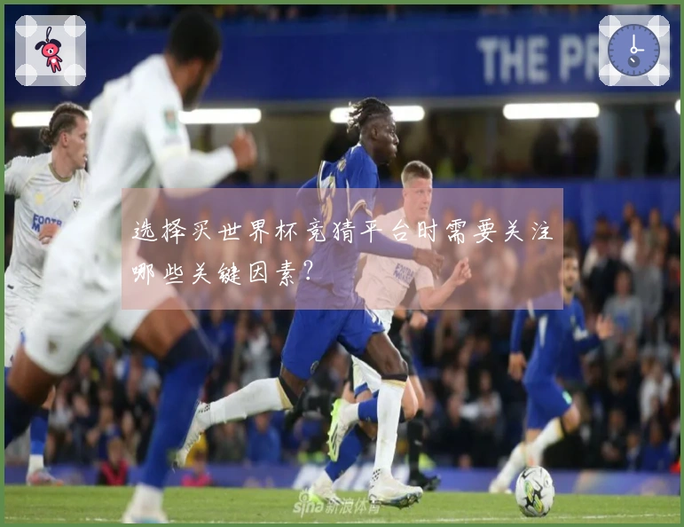 选择买世界杯竞猜平台时需要关注哪些关键因素？