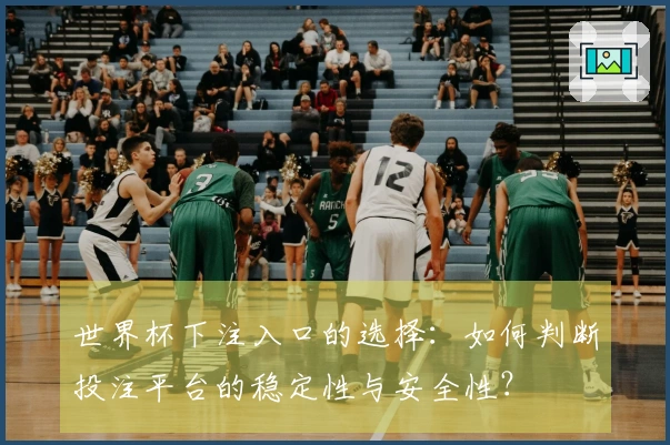 世界杯下注入口的选择：如何判断投注平台的稳定性与安全性？