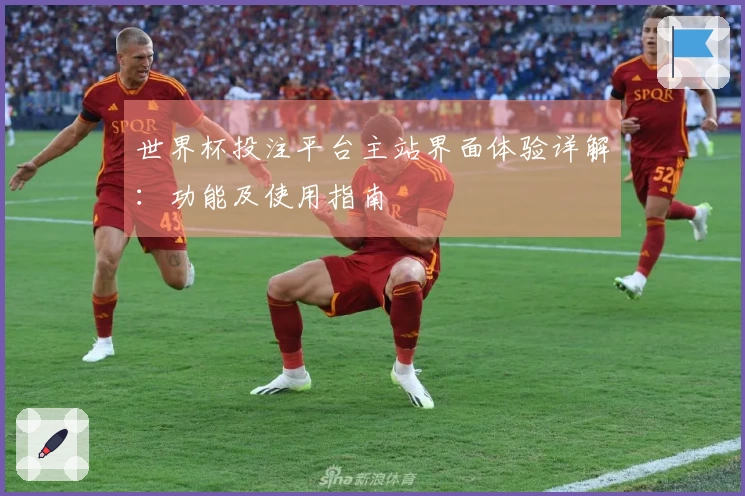 世界杯投注平台主站界面体验详解：功能及使用指南