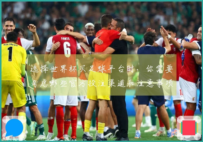 选择世界杯买足球平台时，你需要考虑哪些官方投注渠道和注意事项？