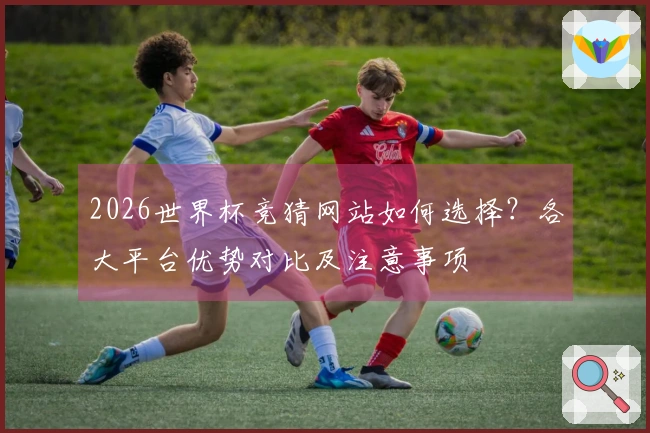 2026世界杯竞猜网站如何选择？各大平台优势对比及注意事项