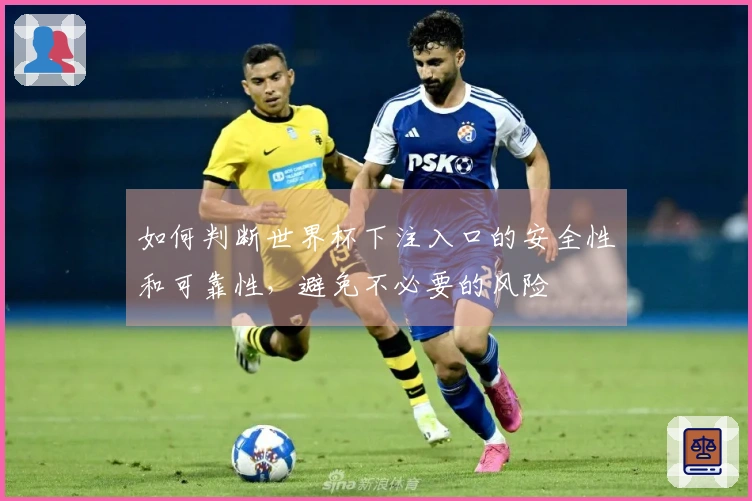 如何判断世界杯下注入口的安全性和可靠性，避免不必要的风险