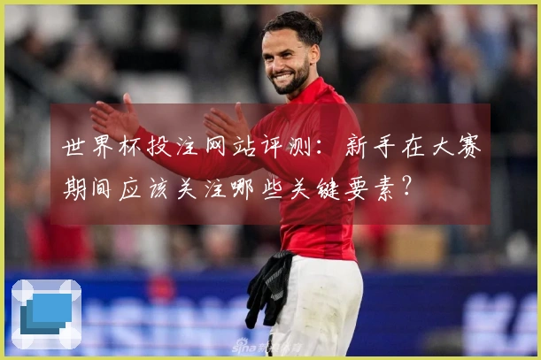 世界杯投注网站评测：新手在大赛期间应该关注哪些关键要素？