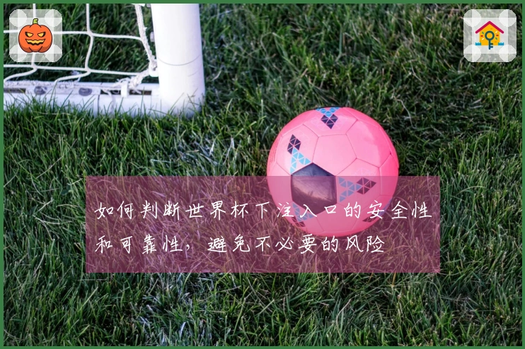 如何判断世界杯下注入口的安全性和可靠性，避免不必要的风险