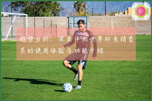趋势分析：深度评测世界杯竞猜首页的使用体验与功能介绍