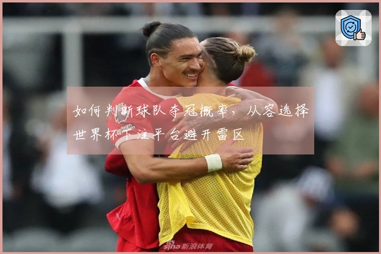 如何判断球队夺冠概率，从容选择世界杯下注平台避开雷区